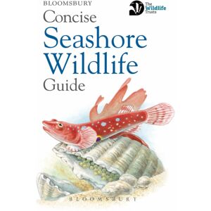 Bloomsbury Publishing PLC Concise Seashore Wildlife Guide Bloomsbury Publishing PLC Concise Seashore Wildlife Guide