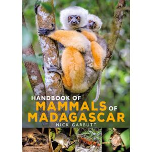 Bloomsbury Publishing PLC Handbook Of Mammals Of Madagascar Bloomsbury Publishing PLC Handbook Of Mammals Of Madagascar