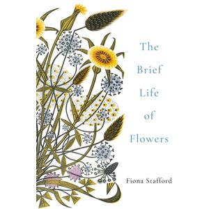 John Murray Press The Brief Life Of Flowers John Murray Press The Brief Life Of Flowers