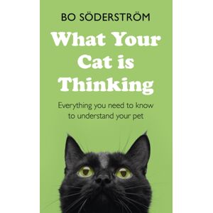 John Murray Press What Your Cat Is Thinking : Everything You Need To Know To Understand Your Pet John Murray Press What Your Cat Is Thinking : Everything You Need To Know To Understand Your Pet