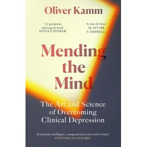 Orion Publishing Co Mending The Mind : The Art And Science Of Overcoming Clinical Depression Orion Publishing Co Mending The Mind : The Art And Science Of Overcoming Clinical Depression