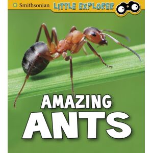 Capstone Global Library Ltd Amazing Ants Capstone Global Library Ltd Amazing Ants