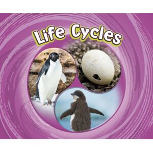 Capstone Global Library Ltd Life Cycles Capstone Global Library Ltd Life Cycles