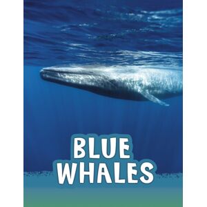 Capstone Global Library Ltd Blue Whales Capstone Global Library Ltd Blue Whales