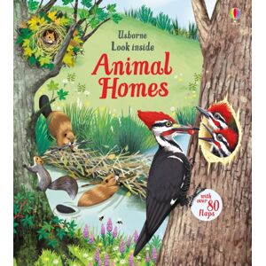 Usborne Publishing Ltd Look Inside Animal Homes Usborne Publishing Ltd Look Inside Animal Homes