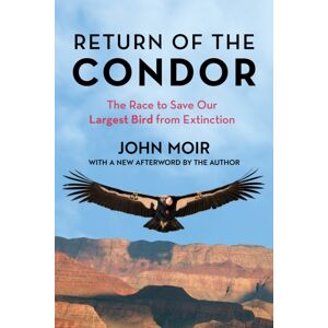 Rowman & Littlefield Return Of The Condor : The Race To Save Our Largest Bird From Extinction Rowman & Littlefield Return Of The Condor : The Race To Save Our Largest Bird From Extinction