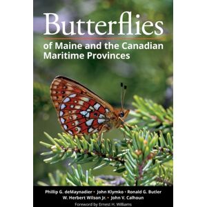 Cornell University Press Butterflies Of Maine And The Canadian Maritime Provinces Cornell University Press Butterflies Of Maine And The Canadian Maritime Provinces