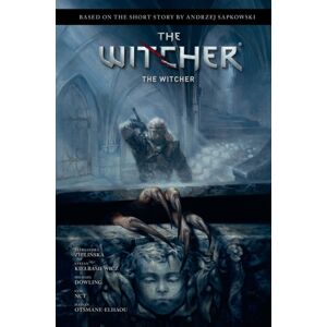 Dark Horse Comics,U.S. Andrzej Sapkowski'S The Witcher: The Witcher Dark Horse Comics,U.S. Andrzej Sapkowski'S The Witcher: The Witcher
