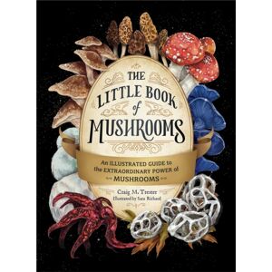Adams Media Corporation The Little Book Of Mushrooms : An Illustrated Guide To The Power Of Mushrooms Adams Media Corporation The Little Book Of Mushrooms : An Illustrated Guide To The Power Of Mushrooms