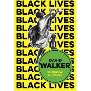 John Wiley and Sons Ltd David Walker : The Politics Of Racial Egalitarianism John Wiley and Sons Ltd David Walker : The Politics Of Racial Egalitarianism