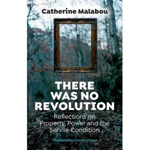Polity Press There Was No Revolution : Reflections On Property, Power And The Servile Condition Polity Press There Was No Revolution : Reflections On Property, Power And The Servile Condition
