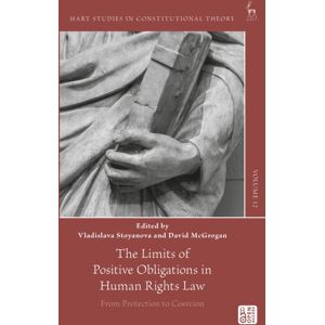 Bloomsbury Publishing PLC The Limits Of Positive Obligations In Human Rights Law : From Protection To Coercion Bloomsbury Publishing PLC The Limits Of Positive Obligations In Human Rights Law : From Protection To Coercion