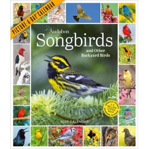 Workman Publishing Audubon Songbirds And Other Backyard Birds Picture-A-Day® Wall Calendar 2026 Workman Publishing Audubon Songbirds And Other Backyard Birds Picture-A-Day® Wall Calendar 2026