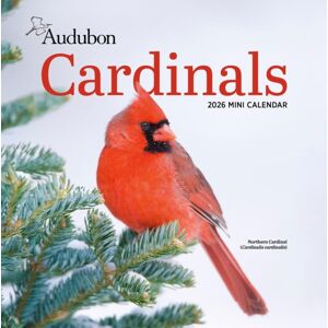 Workman Publishing Audubon Cardinals Mini Wall Calendar 2026 Workman Publishing Audubon Cardinals Mini Wall Calendar 2026
