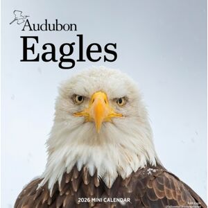 Workman Publishing Audubon Eagles Mini Wall Calendar 2026 Workman Publishing Audubon Eagles Mini Wall Calendar 2026