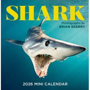 Workman Publishing Shark Mini Wall Calendar 2026 Workman Publishing Shark Mini Wall Calendar 2026