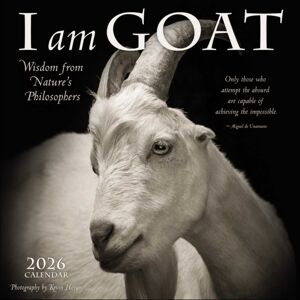 Andrews McMeel Publishing I Am Goat 2026 Wall Calendar : Wisdom From Nature'S Philosophers Andrews McMeel Publishing I Am Goat 2026 Wall Calendar : Wisdom From Nature'S Philosophers