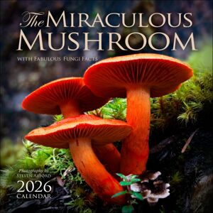 Andrews McMeel Publishing The Miraculous Mushroom 2026 Wall Calendar : With Fabulous Fungi Facts Andrews McMeel Publishing The Miraculous Mushroom 2026 Wall Calendar : With Fabulous Fungi Facts