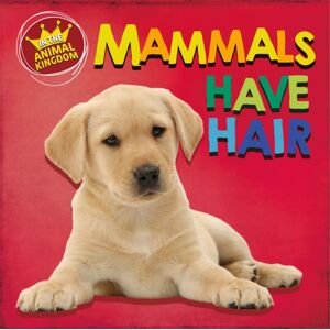 Hachette Children's Group In The Animal Kingdom: Mammals Have Hair Hachette Children's Group In The Animal Kingdom: Mammals Have Hair