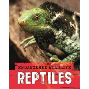Hachette Children's Group Endangered Wildlife: Rescuing Reptiles Hachette Children's Group Endangered Wildlife: Rescuing Reptiles
