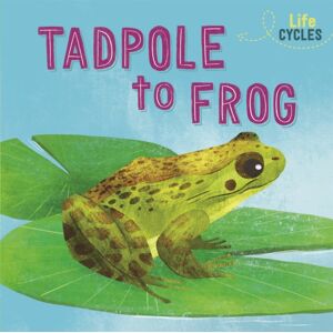 Hachette Children's Group Life Cycles: From Tadpole To Frog Hachette Children's Group Life Cycles: From Tadpole To Frog