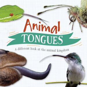 Hachette Children's Group Animal Tongues : A Different Look At The Animal Kingdom Hachette Children's Group Animal Tongues : A Different Look At The Animal Kingdom