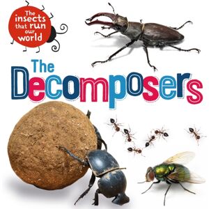 Hachette Children's Group The Insects That Run Our World: The Decomposers Hachette Children's Group The Insects That Run Our World: The Decomposers