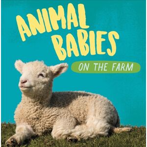 Hachette Children's Group Animal Babies: On The Farm Hachette Children's Group Animal Babies: On The Farm
