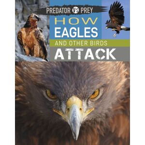 Hachette Children's Group Predator Vs Prey: How Eagles And Other Birds Attack Hachette Children's Group Predator Vs Prey: How Eagles And Other Birds Attack