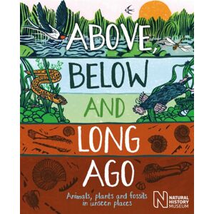 Hachette Children's Group Above, Below And Long Ago : Animals, Plants And Fossils In Unseen Places Hachette Children's Group Above, Below And Long Ago : Animals, Plants And Fossils In Unseen Places