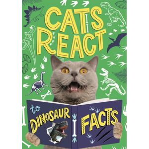 Hachette Children's Group Cats React To Dinosaur Facts Hachette Children's Group Cats React To Dinosaur Facts