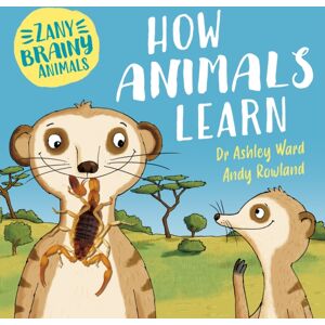Hachette Children's Group Zany Brainy Animals: How Animals Learn Hachette Children's Group Zany Brainy Animals: How Animals Learn