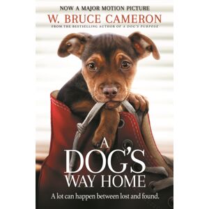 Pan Macmillan A Dog'S Way Home : The Heartwarming Story Of The Special Bond Between Man And Dog Pan Macmillan A Dog'S Way Home : The Heartwarming Story Of The Special Bond Between Man And Dog