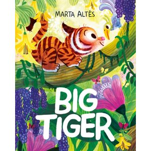 Pan Macmillan Big Tiger Pan Macmillan Big Tiger