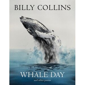 Pan Macmillan Whale Day Pan Macmillan Whale Day
