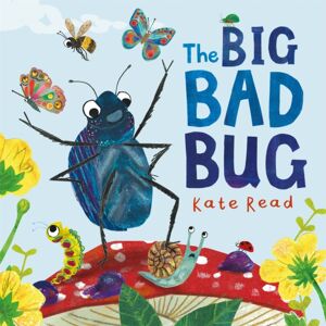 Pan Macmillan The Big Bad Bug : A Minibeast Mini Drama Pan Macmillan The Big Bad Bug : A Minibeast Mini Drama