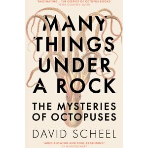 Hodder & Stoughton Many Things Under A Rock : The ‘mind-Blowing’ Book That Reveals The Mysteries Of The Octopus, Perfect For All Science Enthusiasts And Fans Of David Attenborough Hodder & Stoughton Many Things Under A Rock : The ‘mind-Blowing’ Book That Reveals The Mysteries Of The Octopus, Perfect For All Science Enthusiasts And Fans Of David Attenborough