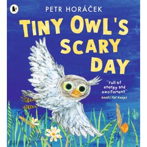 Walker Books Ltd Tiny Owl'S Scary Day Walker Books Ltd Tiny Owl'S Scary Day