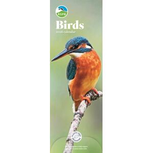 CAROUSEL CALENDARS 2026 Rspb Birds Slim Calendar 2026 CAROUSEL CALENDARS 2026 Rspb Birds Slim Calendar 2026