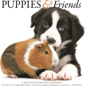 CAROUSEL CALENDARS 2026 Puppies Friends Square Mini Sunday Start CAROUSEL CALENDARS 2026 Puppies Friends Square Mini Sunday Start