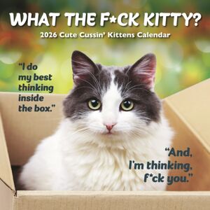 CAROUSEL CALENDARS 2026 What The Fck Kitty Square Wall Sunday St CAROUSEL CALENDARS 2026 What The Fck Kitty Square Wall Sunday St