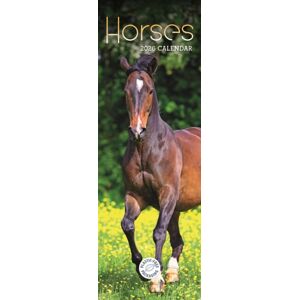 CAROUSEL CALENDARS 2026 Horses Slim Calendar 2026 CAROUSEL CALENDARS 2026 Horses Slim Calendar 2026