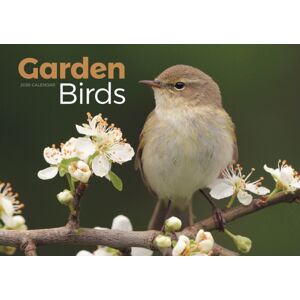 CAROUSEL CALENDARS 2026 Garden Birds A4 Calendar 2026 CAROUSEL CALENDARS 2026 Garden Birds A4 Calendar 2026