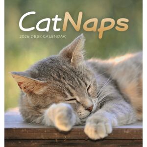 CAROUSEL CALENDARS 2026 Cat Naps Easel Desk Calendar 2026 CAROUSEL CALENDARS 2026 Cat Naps Easel Desk Calendar 2026
