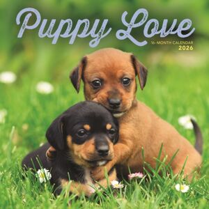 CAROUSEL CALENDARS 2026 Puppy Love Square Wall Sunday Start Cale CAROUSEL CALENDARS 2026 Puppy Love Square Wall Sunday Start Cale