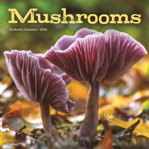 CAROUSEL CALENDARS 2026 Mushrooms Square Wall Sunday Start Calen CAROUSEL CALENDARS 2026 Mushrooms Square Wall Sunday Start Calen