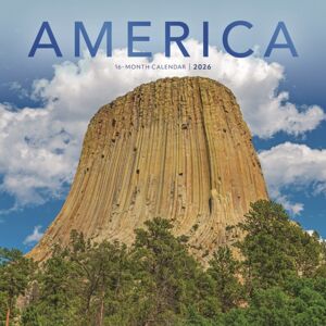 CAROUSEL CALENDARS 2026 America Square Wall Sunday Start Calenda CAROUSEL CALENDARS 2026 America Square Wall Sunday Start Calenda