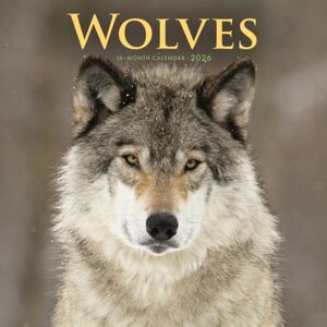CAROUSEL CALENDARS 2026 Wolves Square Wall Sunday Start Calendar CAROUSEL CALENDARS 2026 Wolves Square Wall Sunday Start Calendar