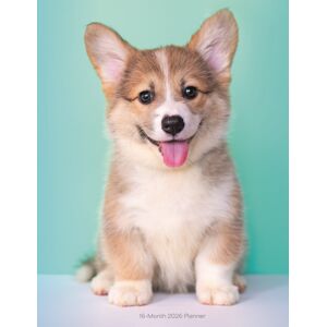 CAROUSEL DIARIES 2026 Puppies Sunday Start A5 Planner Diary 2026 CAROUSEL DIARIES 2026 Puppies Sunday Start A5 Planner Diary 2026