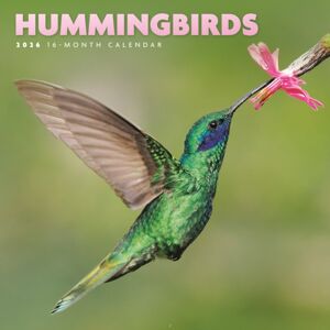 CAROUSEL CALENDARS 2026 Hummingbirds Square Mini Sunday Start Ca CAROUSEL CALENDARS 2026 Hummingbirds Square Mini Sunday Start Ca